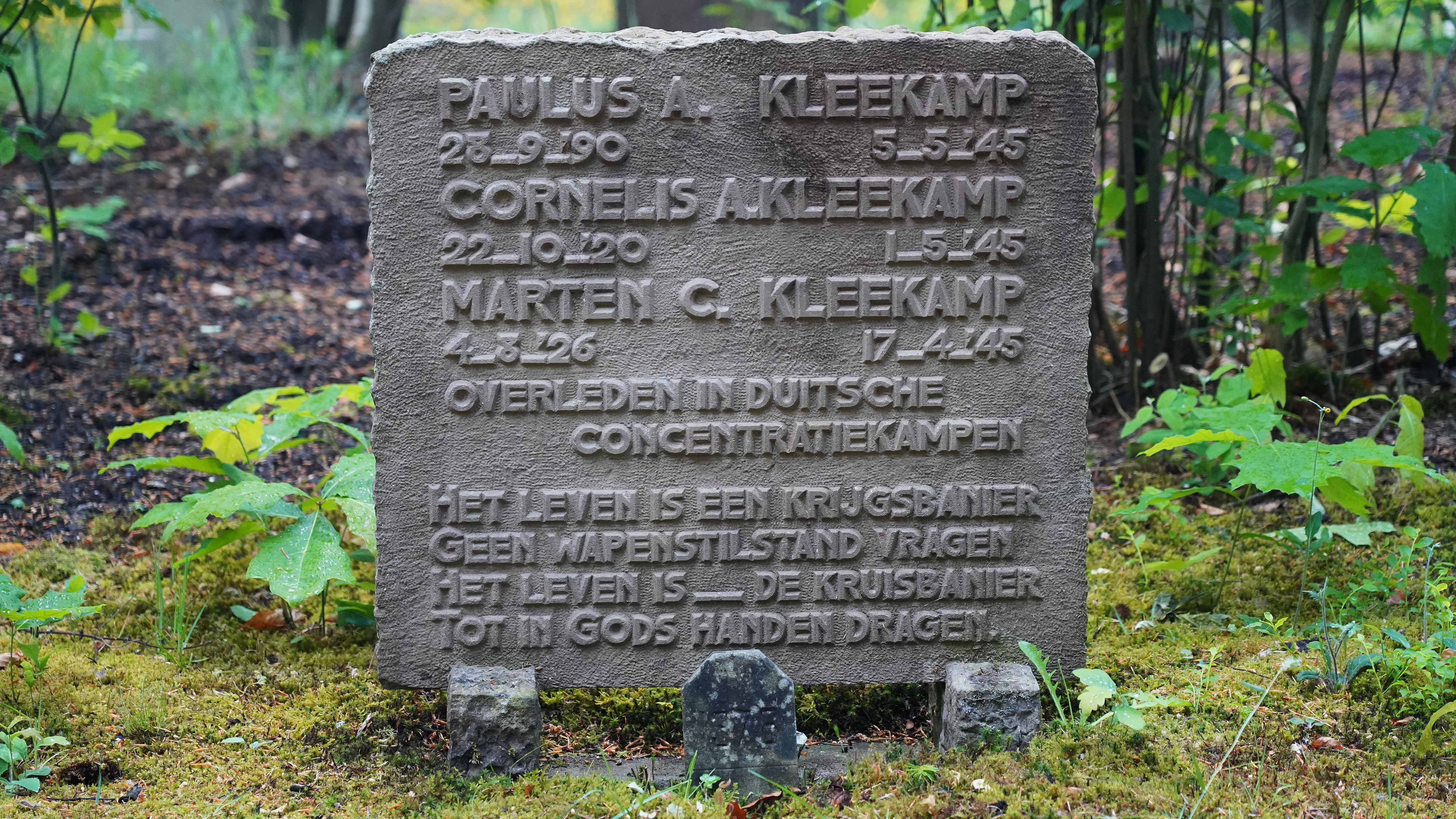 Graf van Paulus Adriaan Kleekamp
